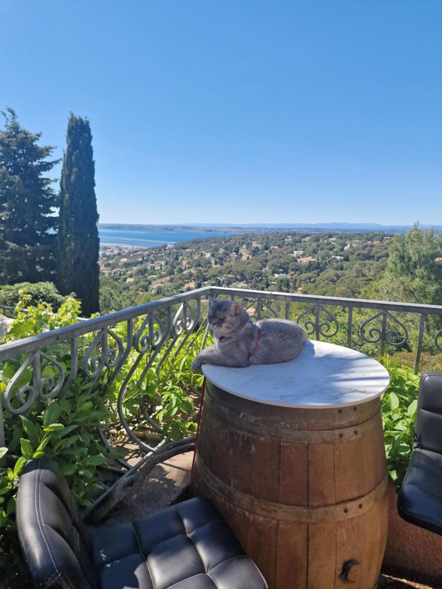 Villa Clarté Baraquette sétoise vue magique Sète Exterior foto