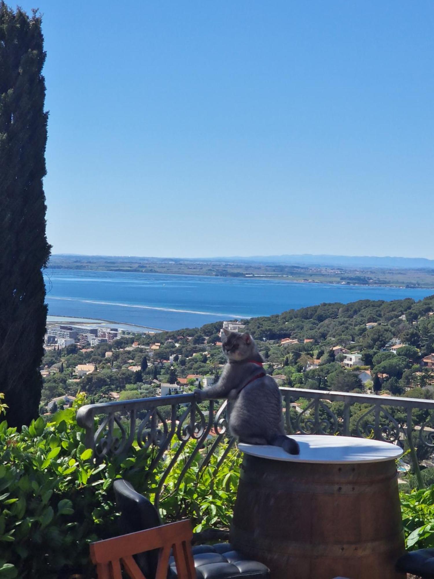 Villa Clarté Baraquette sétoise vue magique Sète Exterior foto